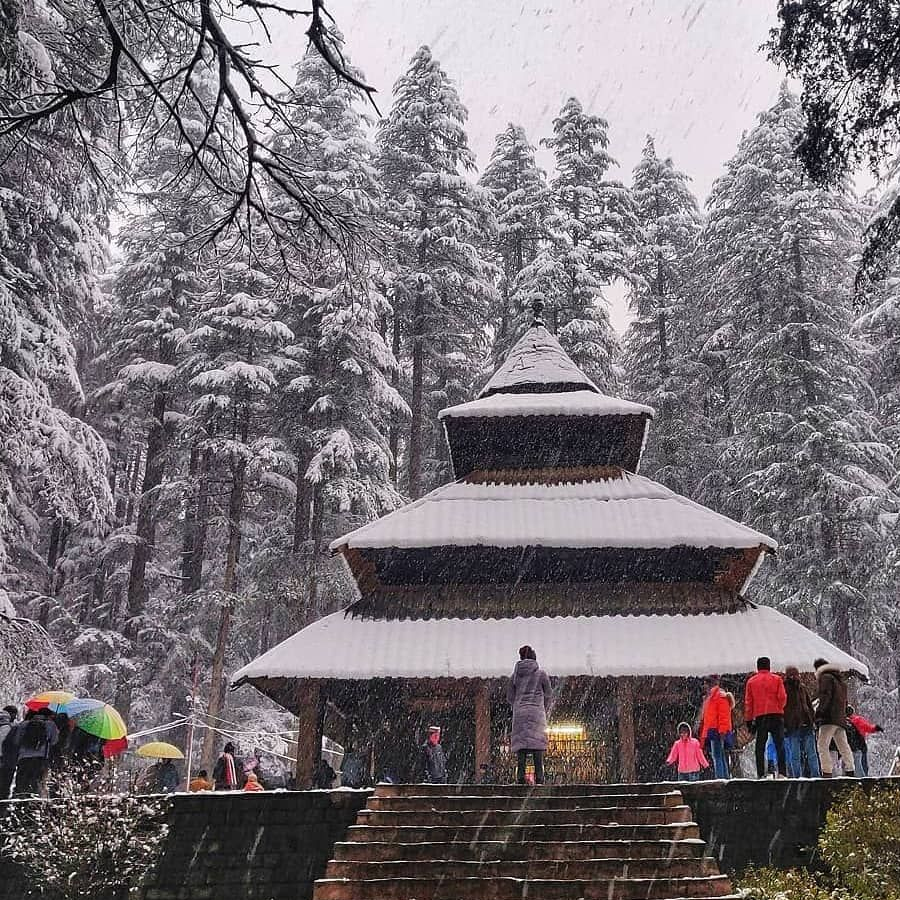 Regal India Tours
